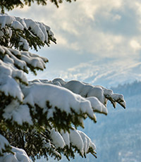 Tour Valle Seriana in Minivan